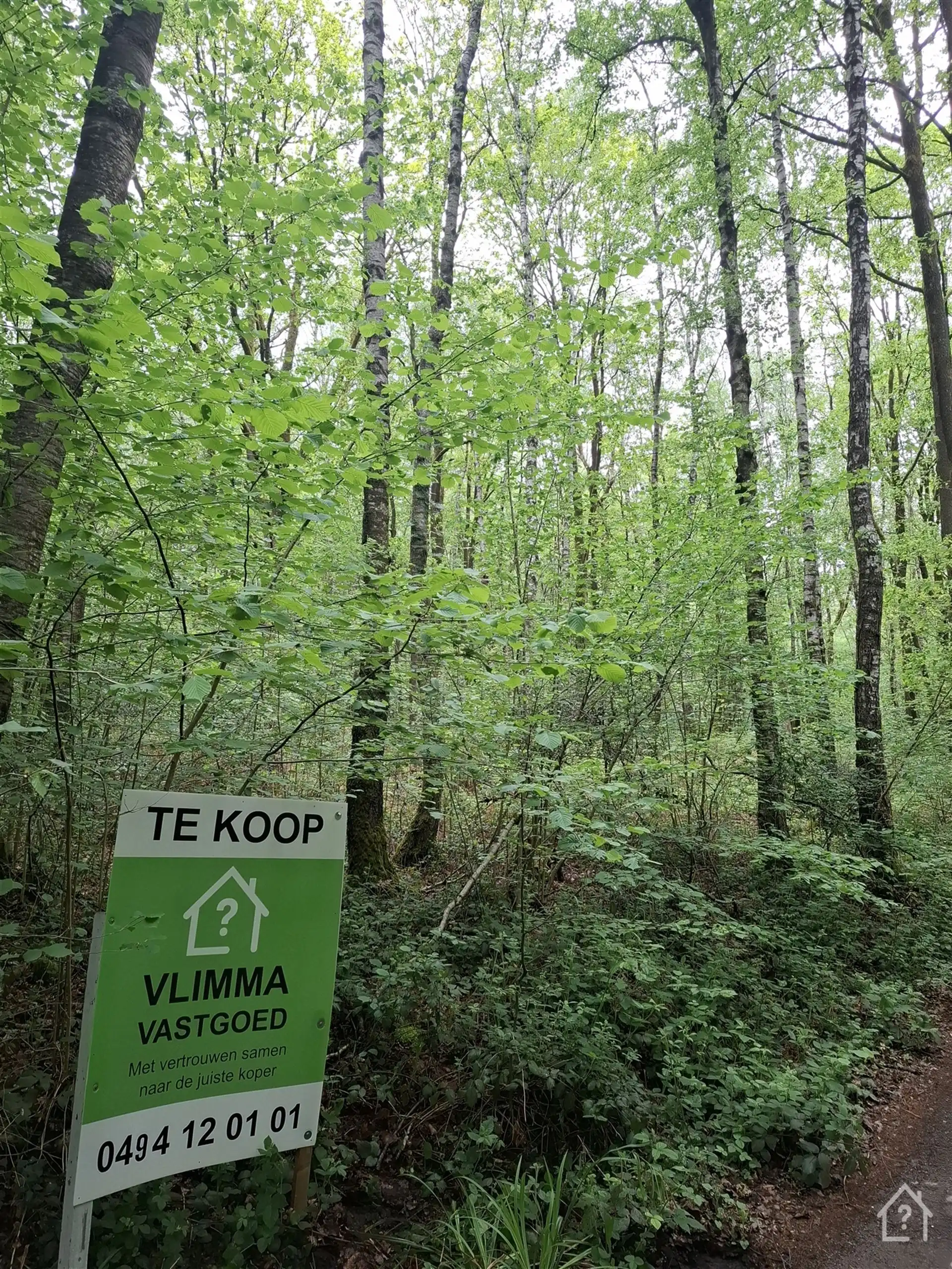Recreatiegrond midden in het Groene Hart van de Ardennen foto 9