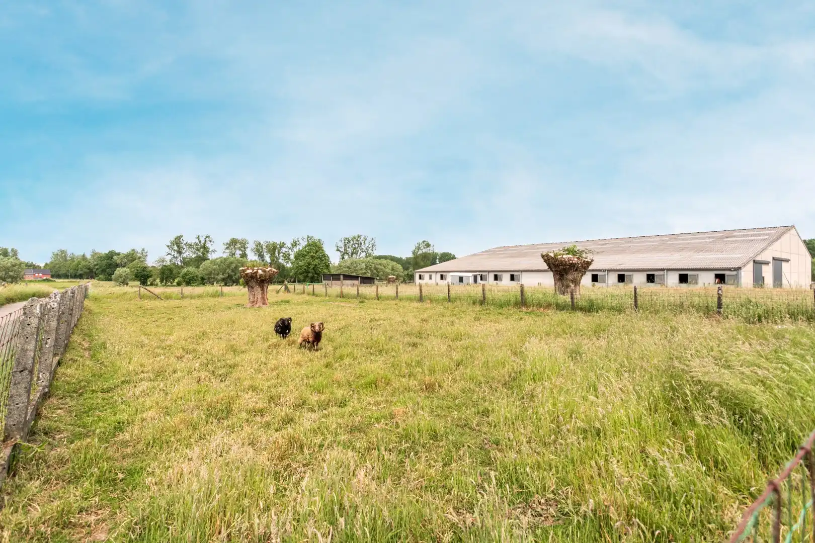 Authentieke hoeve in het landelijke Oetingen foto 16