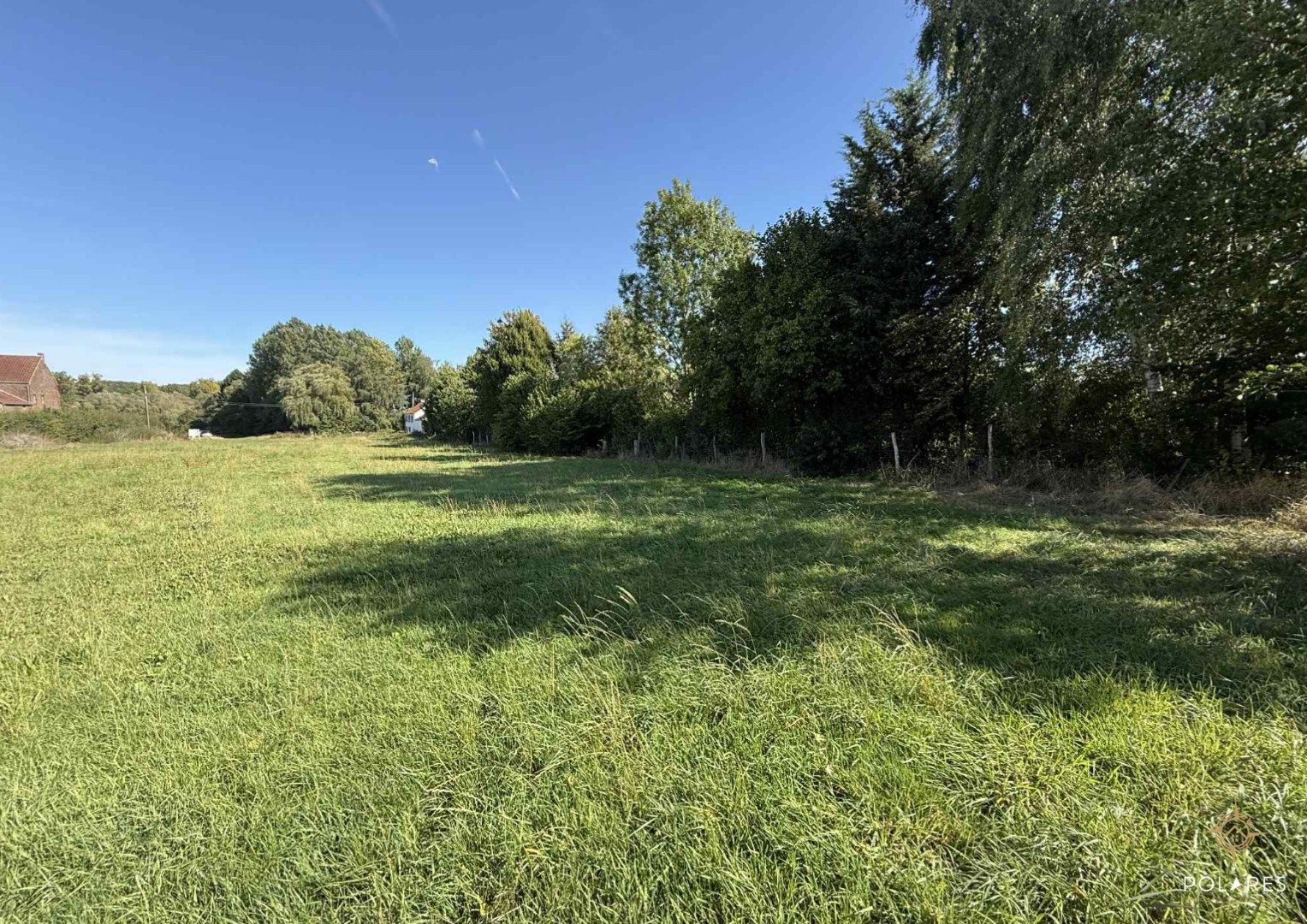 Ruime bouwgrond te koop in Sint-Agatha-Rode – zuidgericht en vol mogelijkheden foto 6