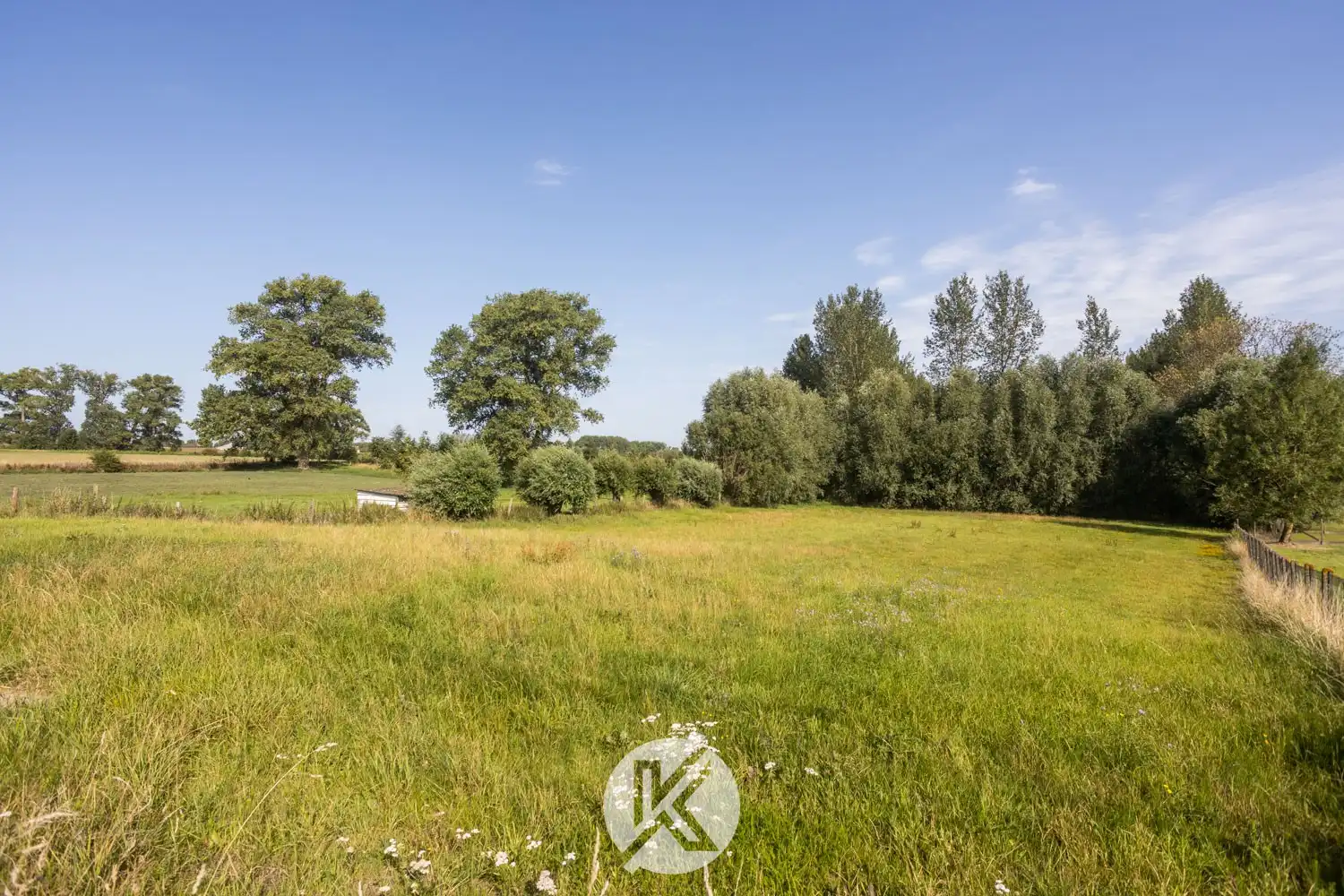 Robuuste woning met omliggende weides foto 12