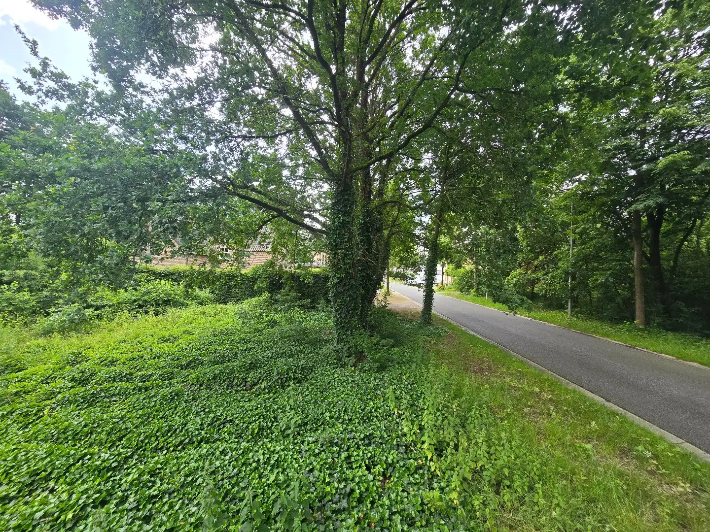 Bouwgrond voor OB, 9a16ca, met zicht op groen foto 5