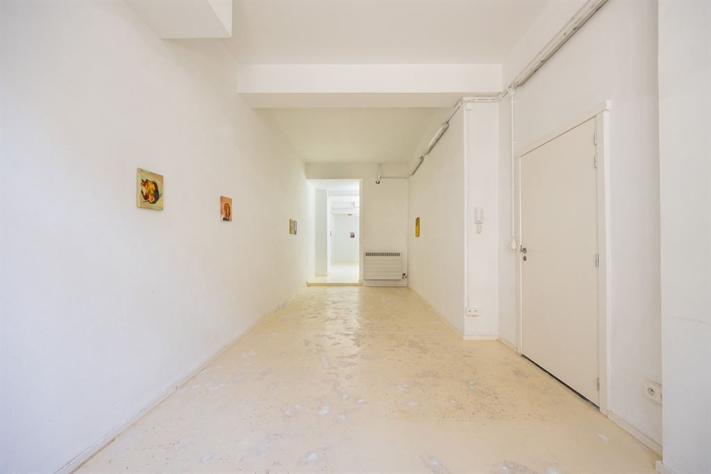 Karaktervolle woning met legio indelingsmogelijkheden foto 2