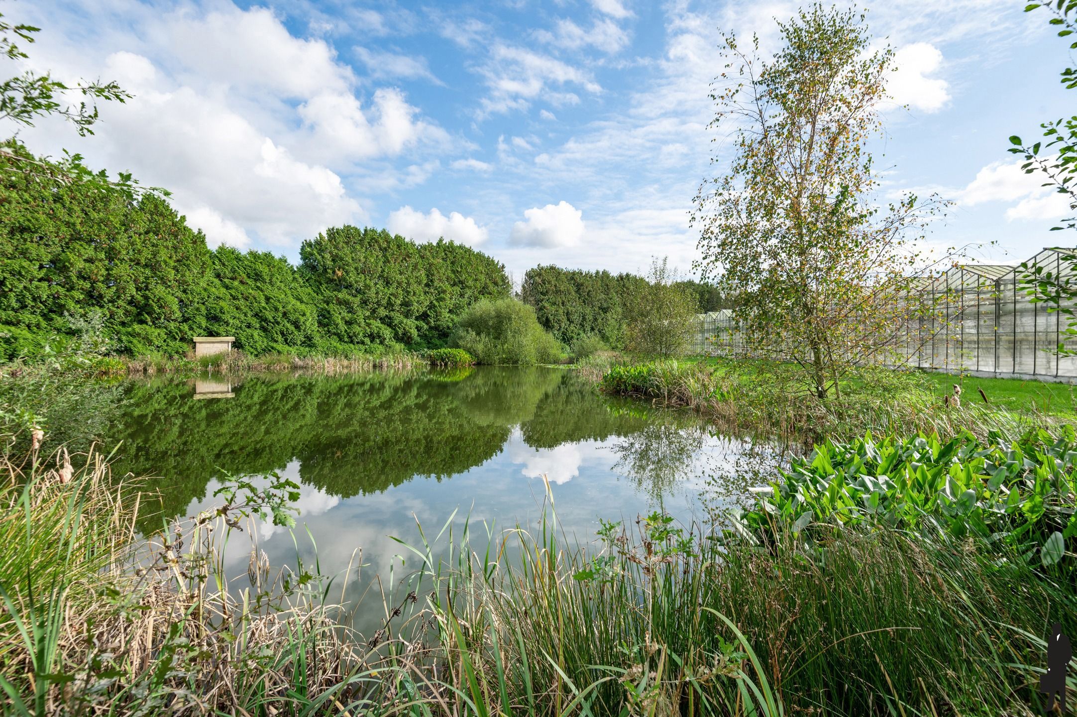 Uitzonderlijk eigendom op ca. 2,3 hectare grond. foto 6