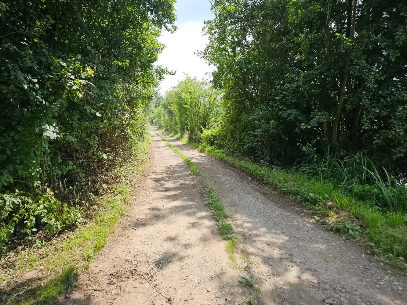 Prachtig gelegen, verder te vernieuwen landgebouw (omg. Congoberg) foto 20