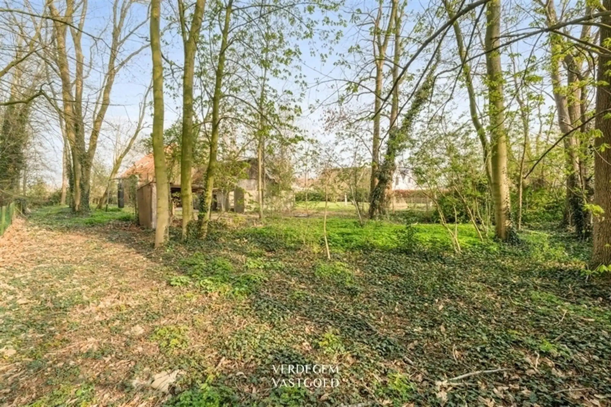 Unieke eigendom boordevol charme en mogelijkheden in het centrum van Evergem foto 26