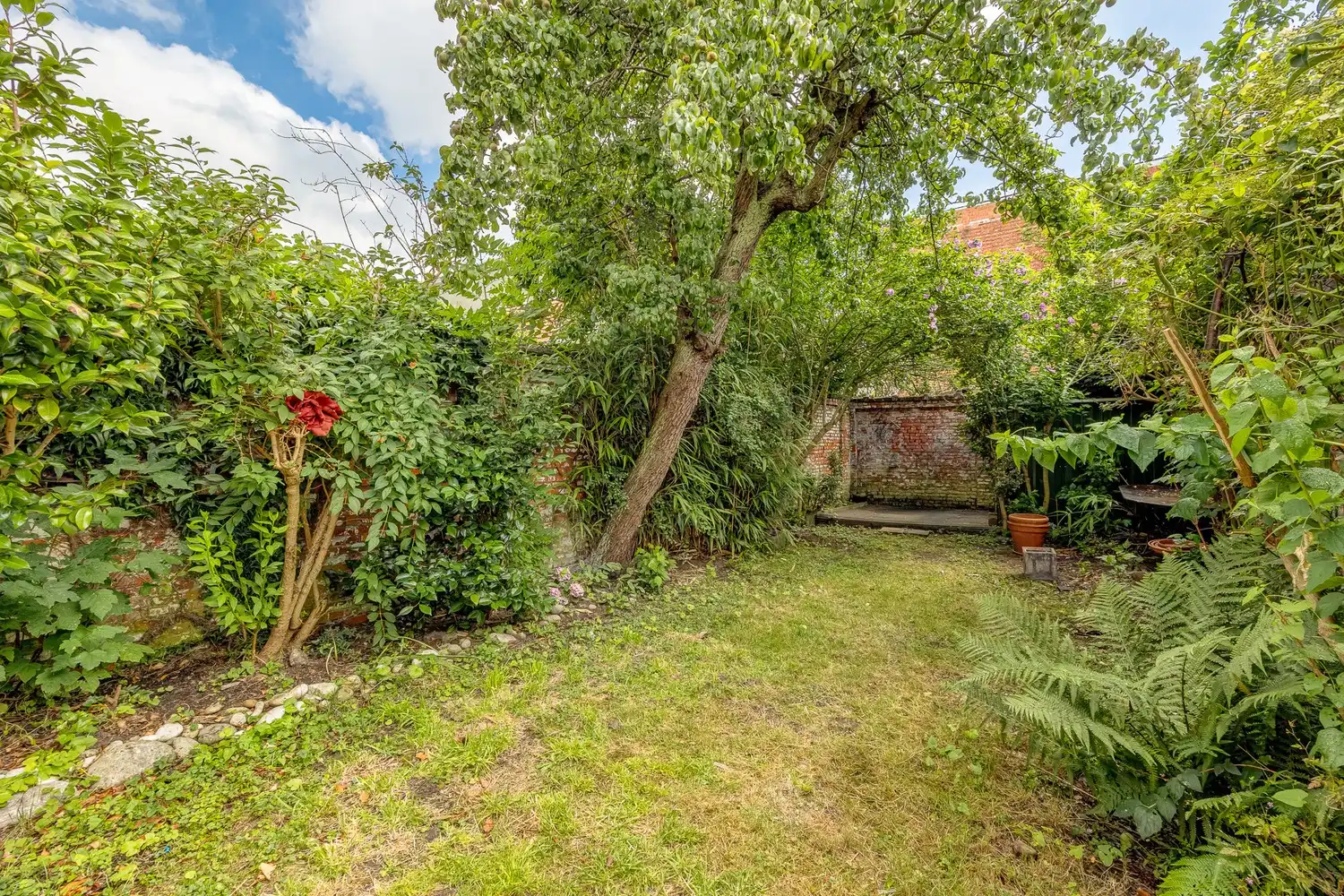 Karaktervolle woning met gezellige tuin foto 9