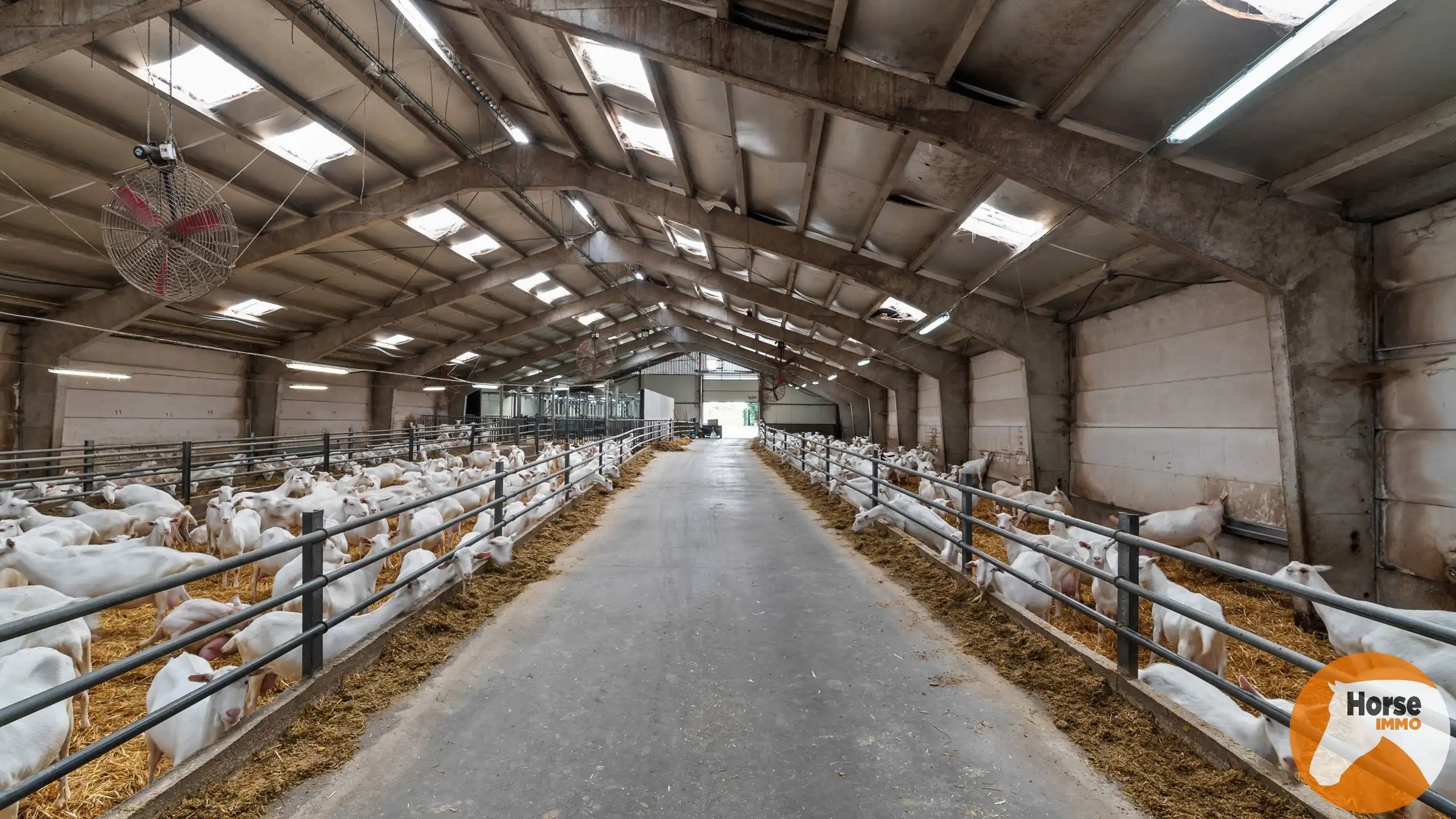 OORDEGEM - Woning met loods op 2,7HA foto 11