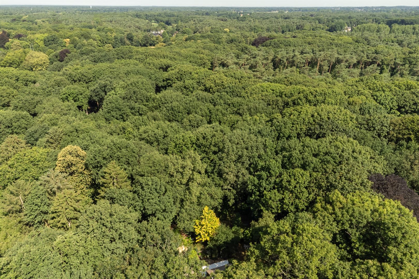 Authentieke woning met bijgebouw op toplocatie in Zoerselbos foto 6