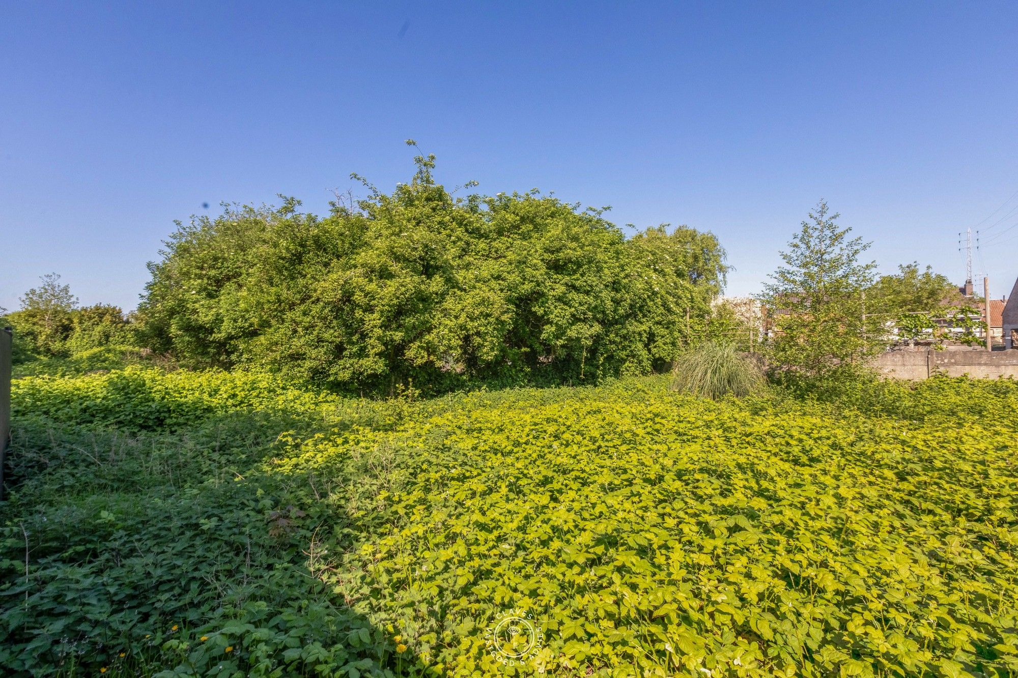 Bouwgrond of projectgrond op een zeer ruim perceel van 1096m² foto 7