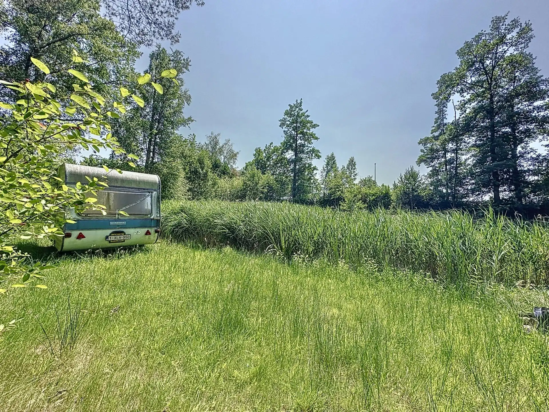 Uniek stuk recreatiegrond met vijver en bouwmogelijkheid – 2154 m². foto 5