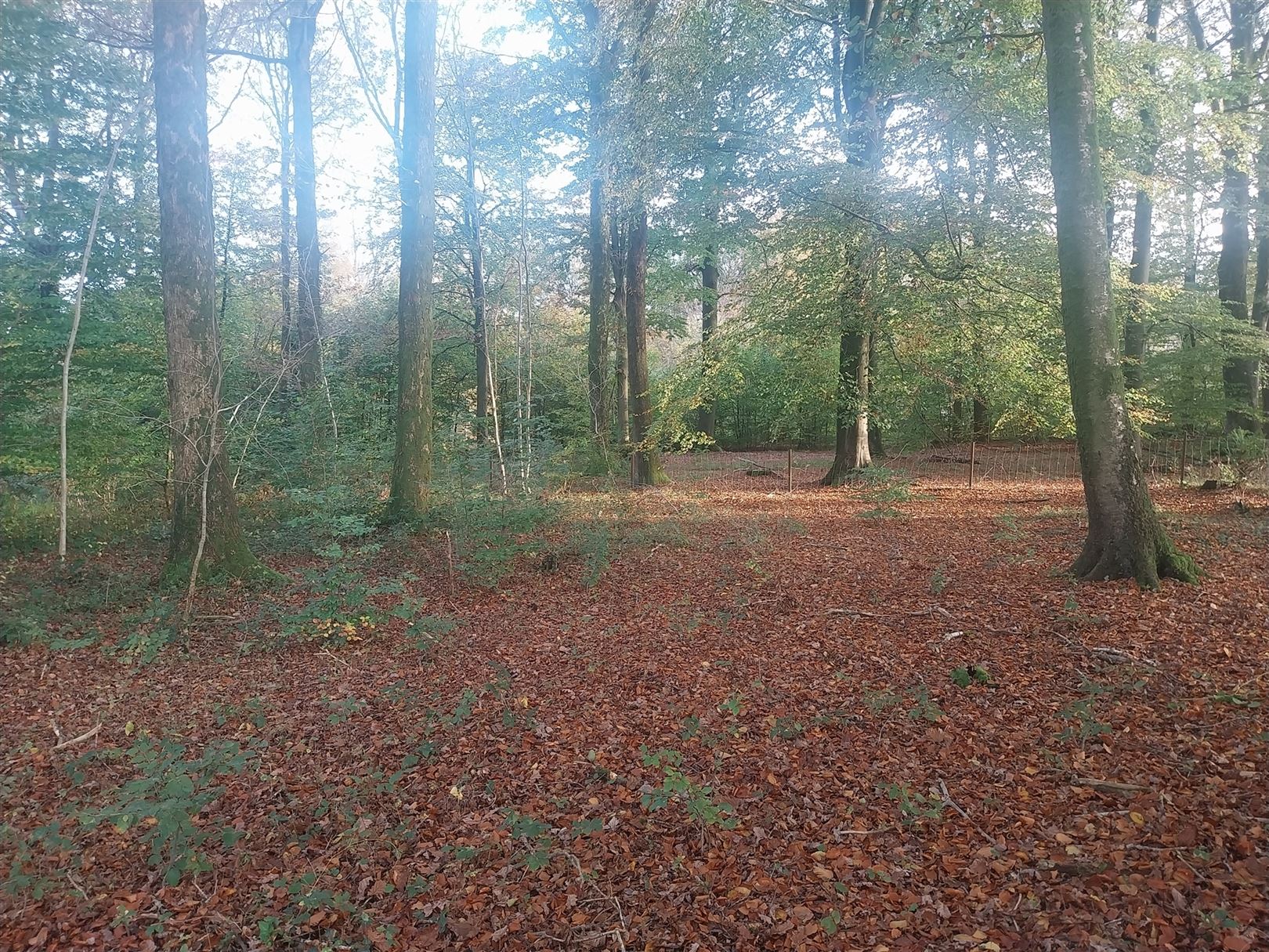 Bouwgrond foto 4