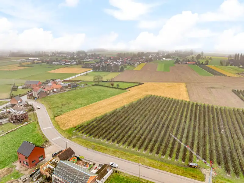 Landbouwgrond van 66are 76ca in Hoeleden foto 3