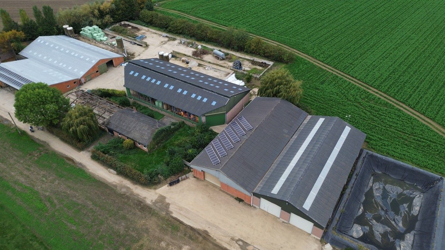 Prachtige boerderij op 1,4 hectare grond in Rekem/Lanaken foto {{pictureIndex}}