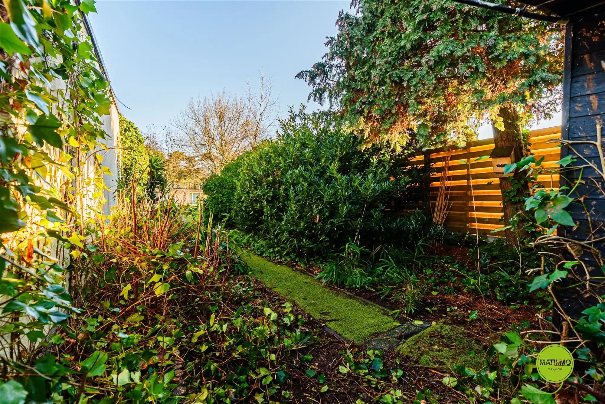 Gezellige jaren 70 bungalow in een rustige straat in Lommel foto 3