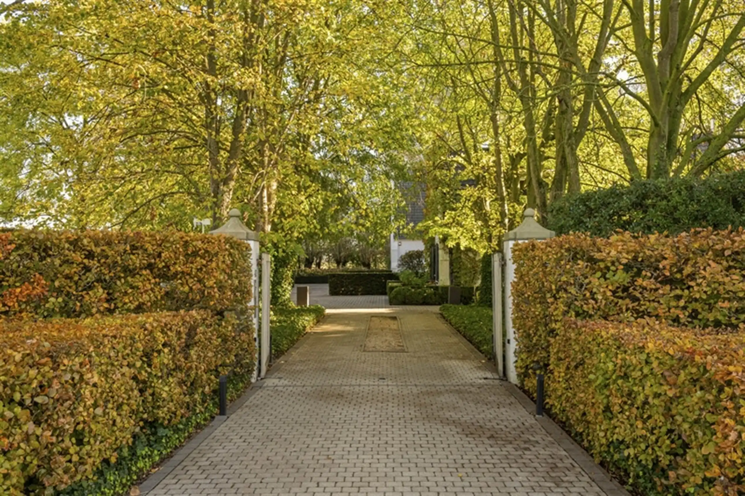 Waardevolle witte vastgoedparel  op 8.679 m² ! foto 4