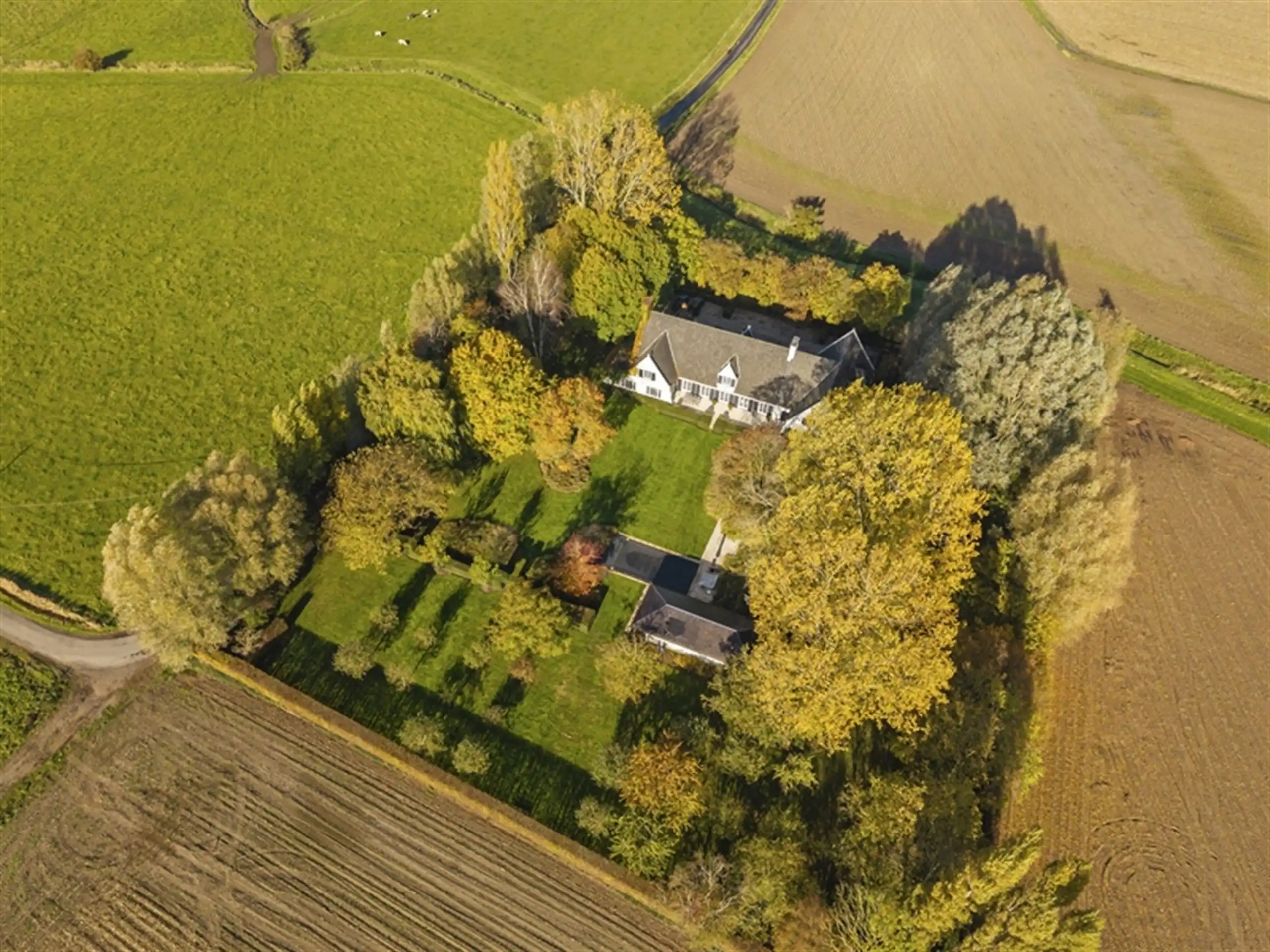 Waardevolle witte vastgoedparel  op 8.679 m² ! foto 4