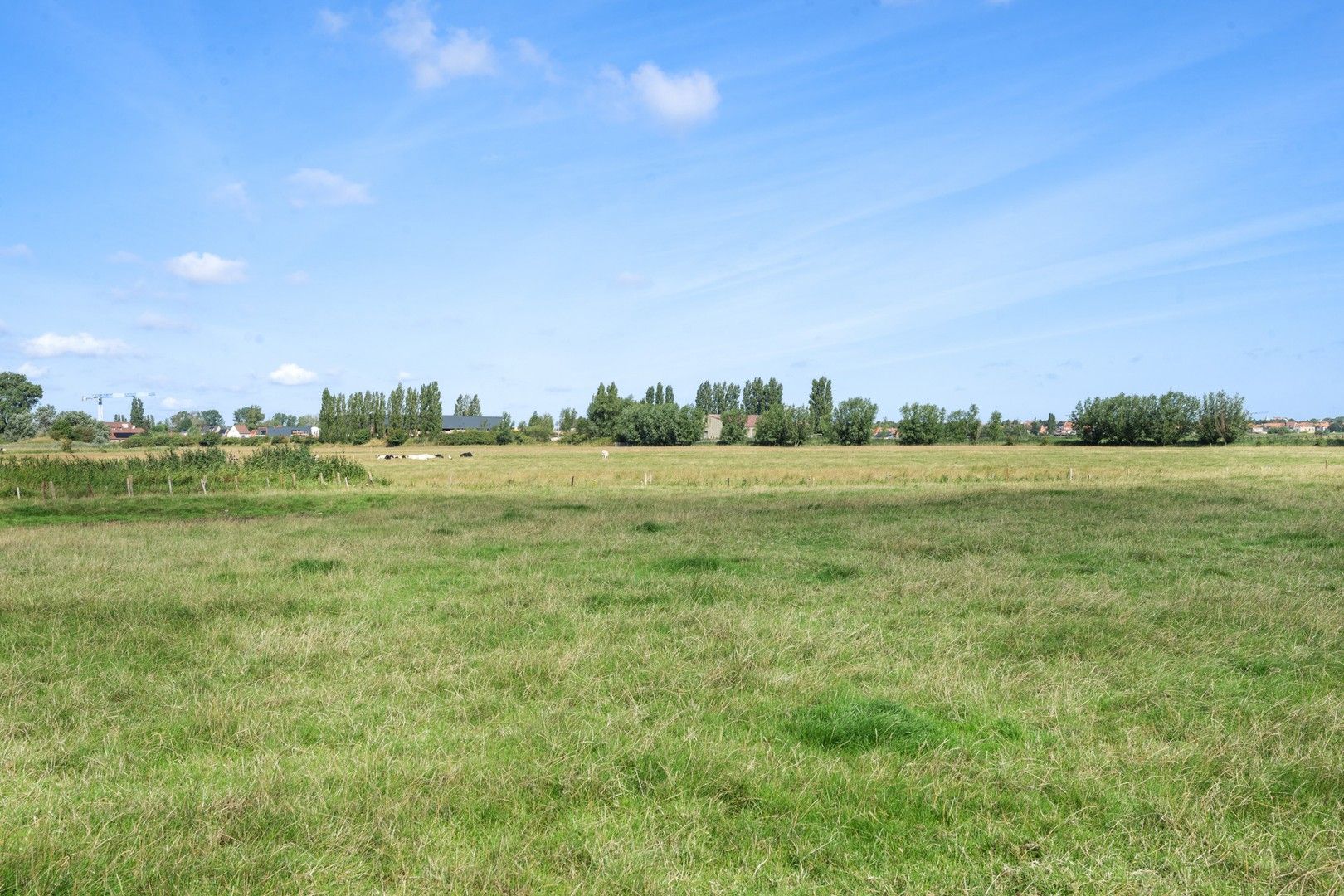 Hedendaagse villa gelegen op een terrein van 2.648m² genietend van open zicht over de Polders. foto 18