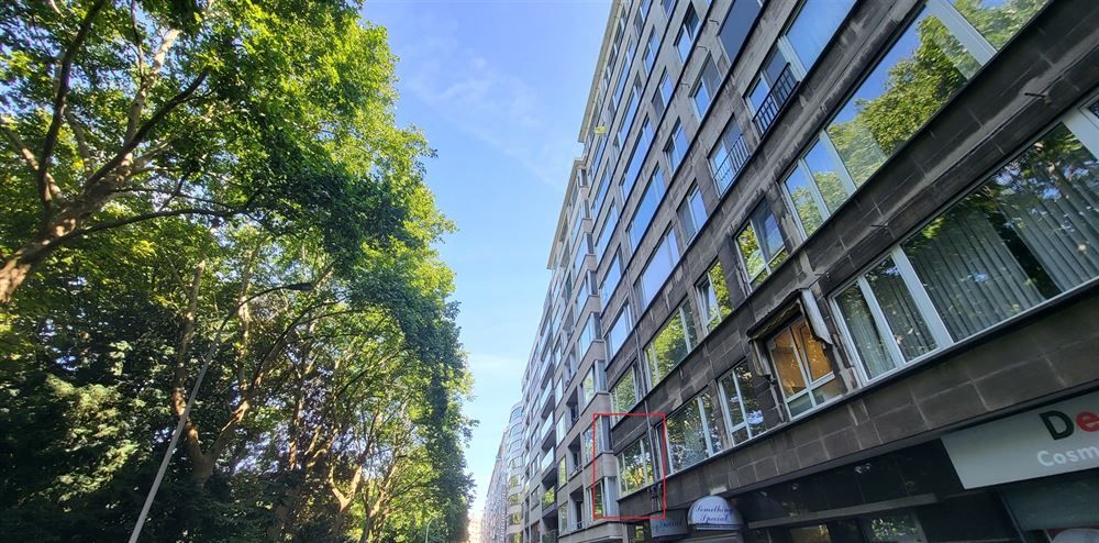 Ruim appartement | Stadspark foto 2