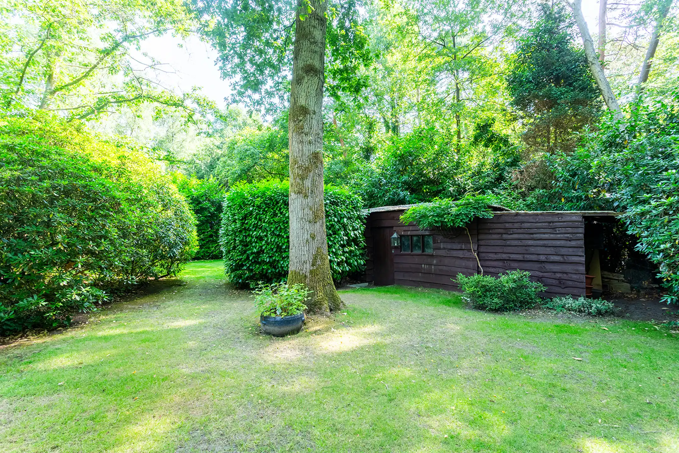 Charmante klasse-villa met rieten dak in bosrijke omgeving foto 23