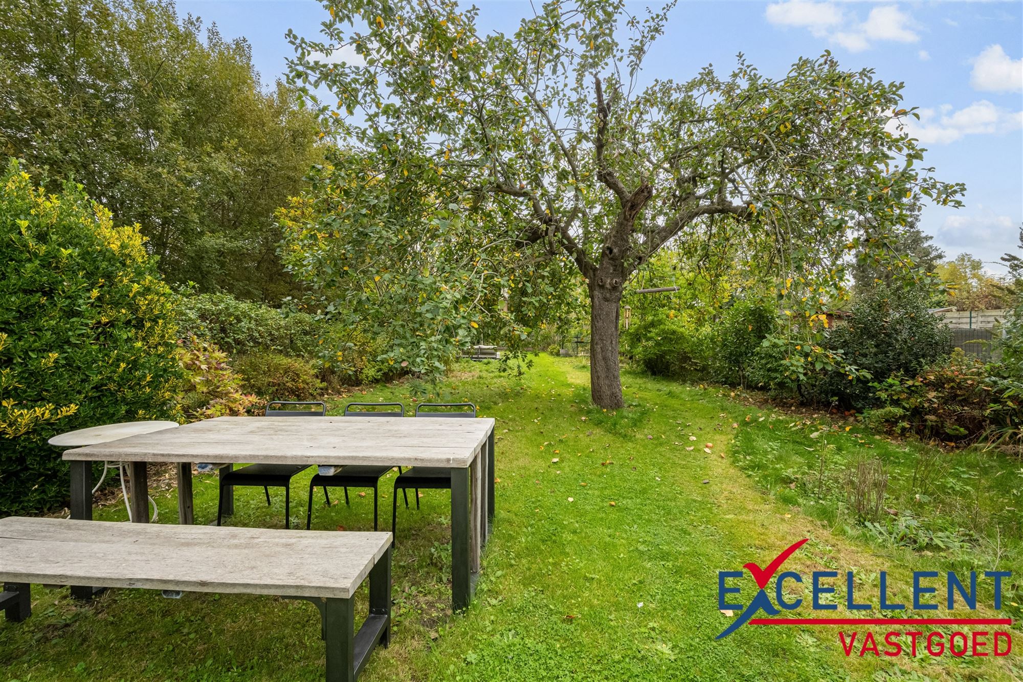 Charmante halfopen woning te koop Deinze foto 9