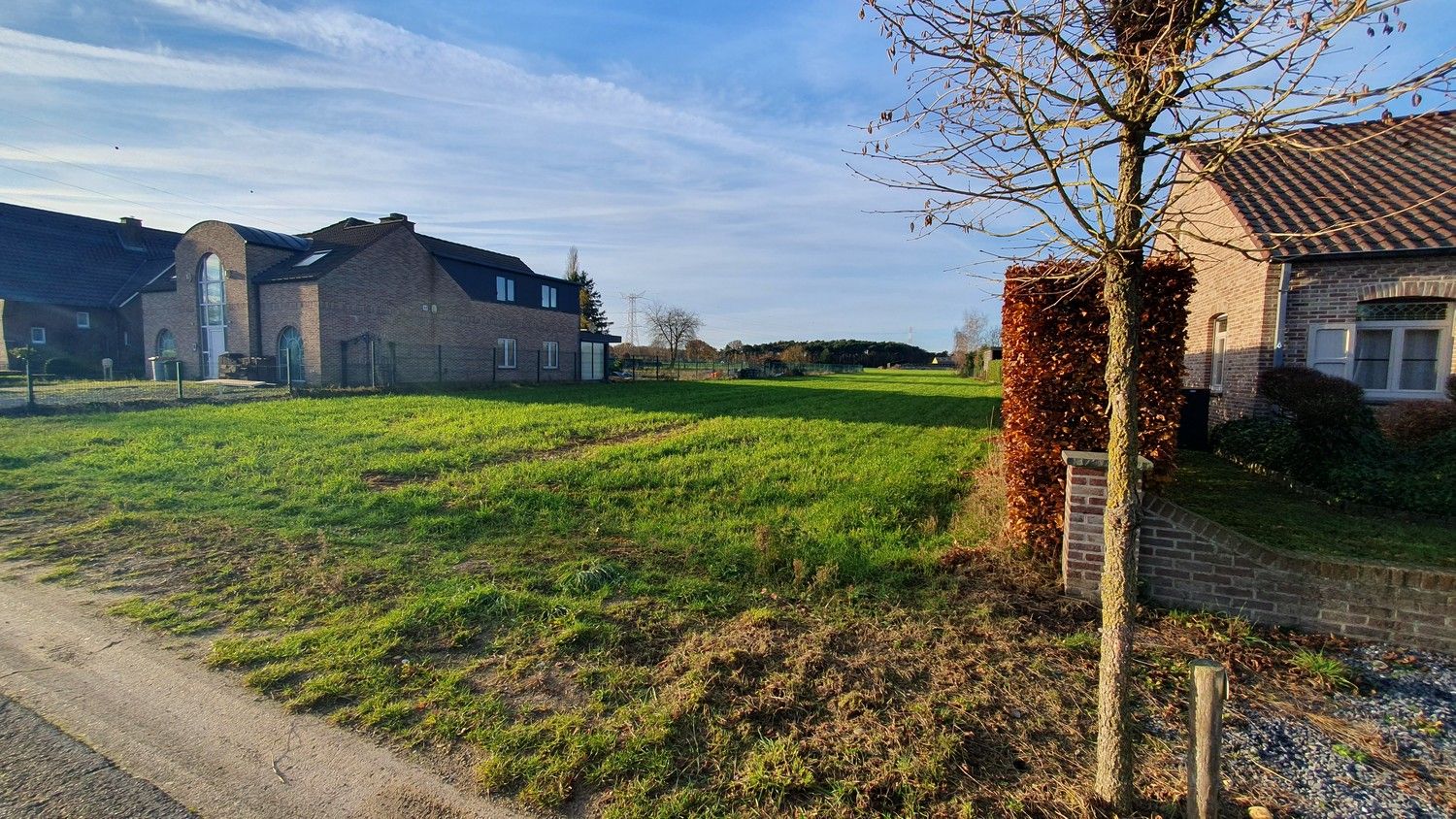 Uitzonderlijke bouwgrond voor open bebouwing in Reppel foto 4