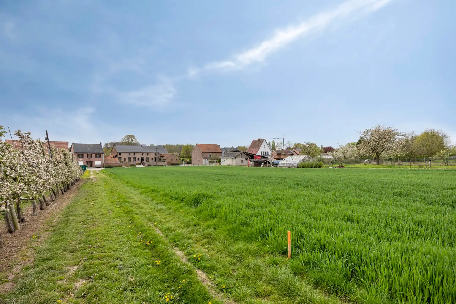 MOOI GELEGEN BOUWGRONDEN IN GLABBEEK  (LOT1) foto 11