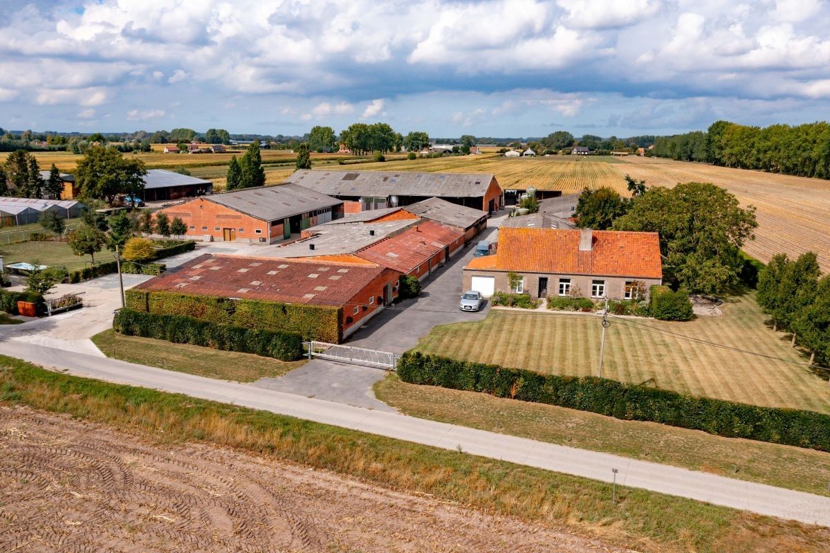 Hoeve op 4,13 ha te koop te Kaprijke foto 3