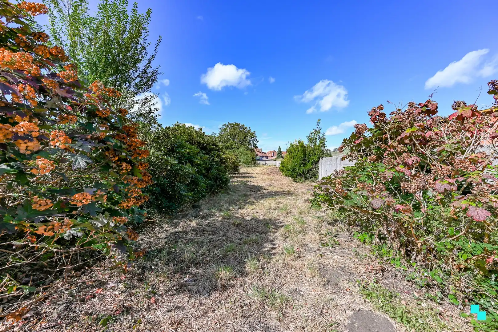 Karaktervolle woning met riante woonoppervlakte (267 m²) en tuin in Emelgem foto 13