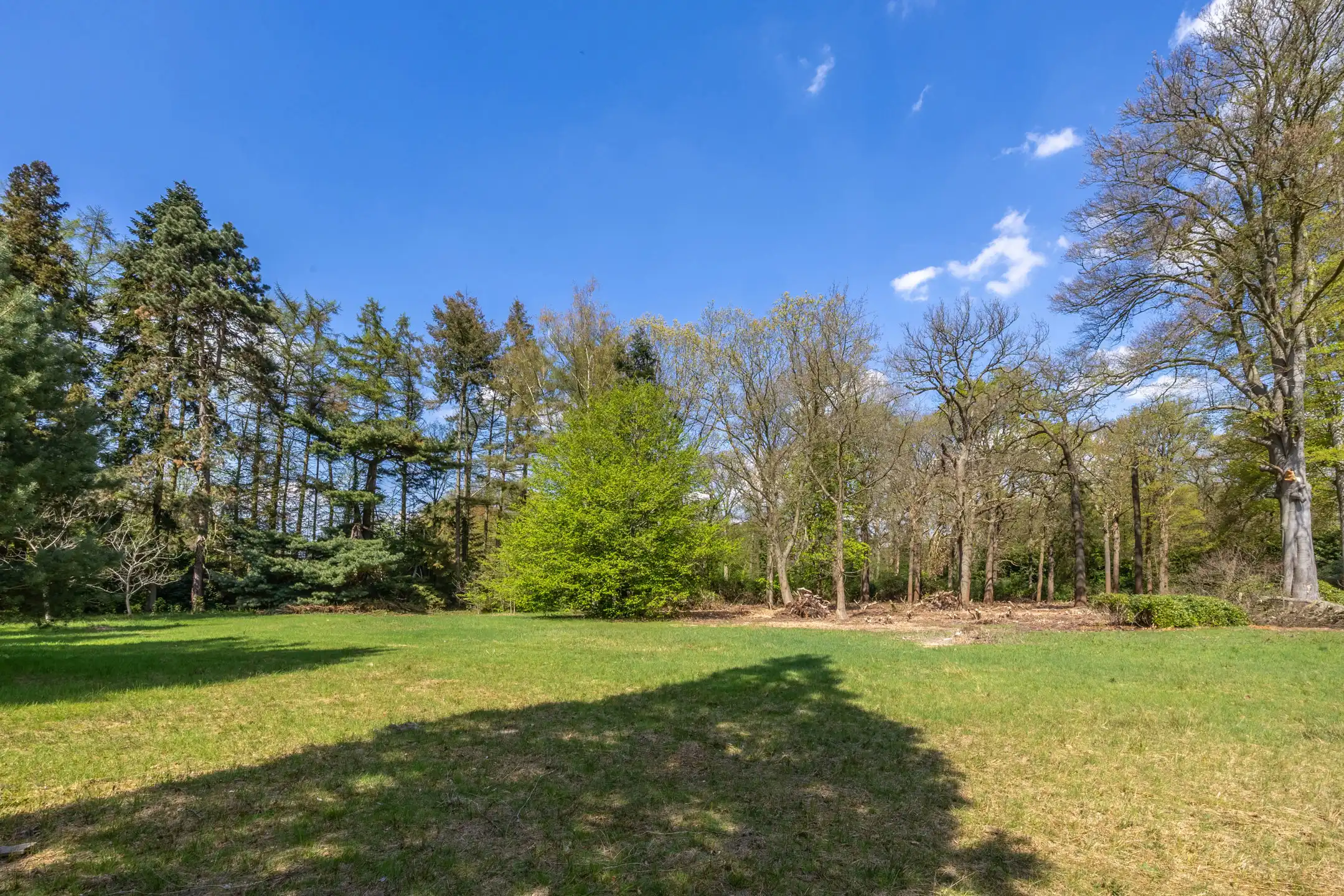 Exceptionele bouwgrond van 12.465 m² in Vriesdonk foto 17