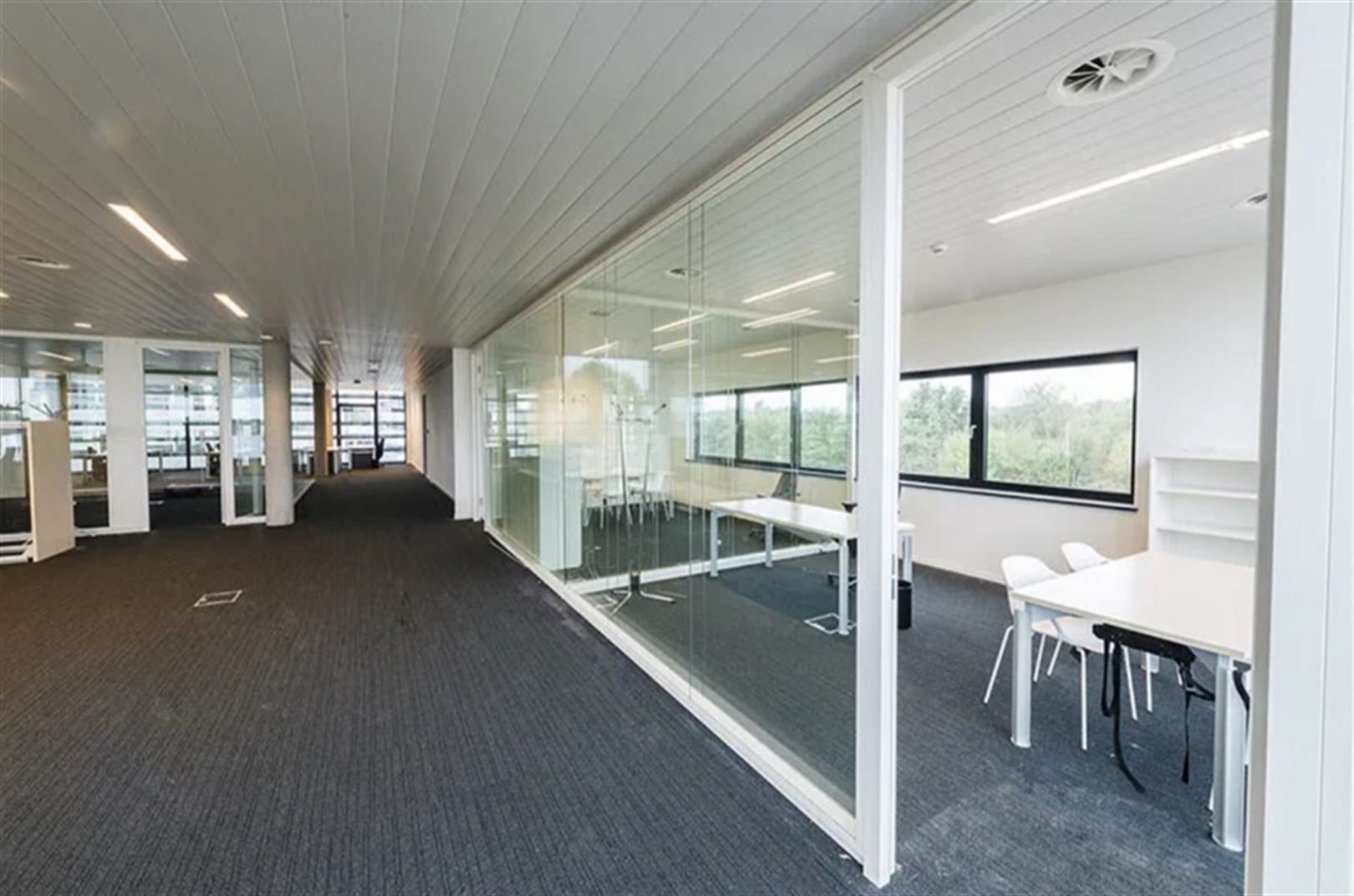 Kantoorruimte van 870 m² op grote ring te Hasselt foto 3