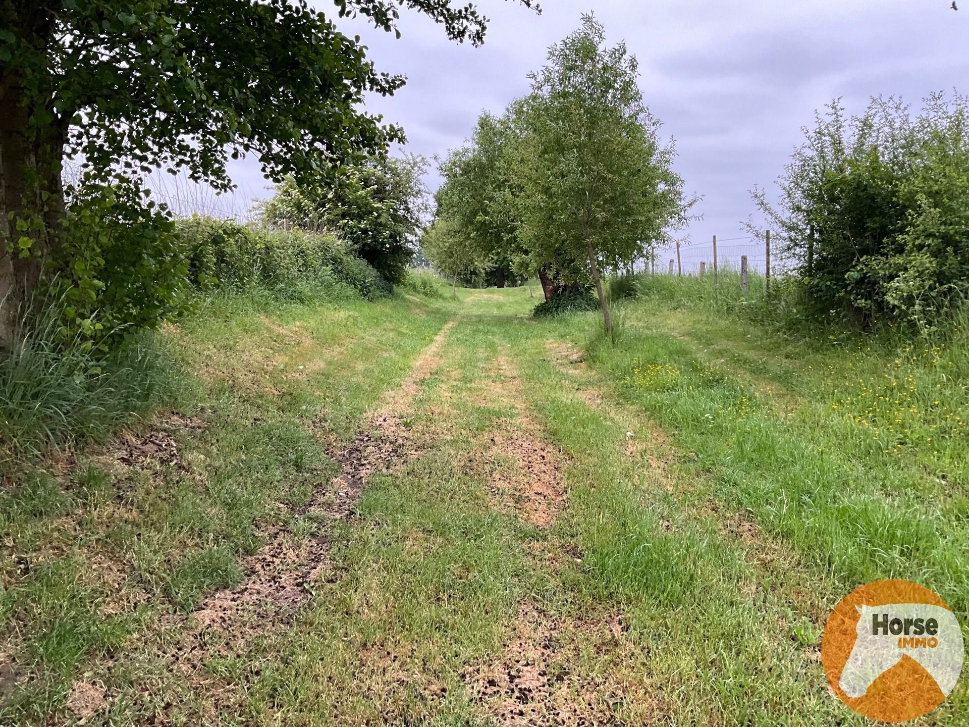 GERAARDSBERGEN - Rustig gelegen weide - 1,04 ha  foto 2