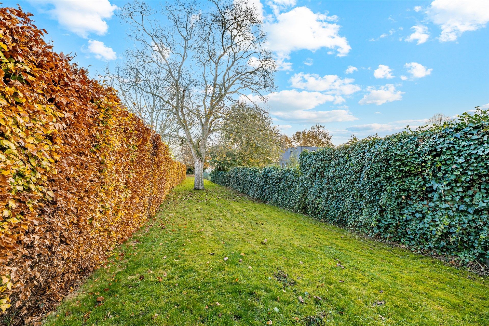 Gezellige rijwoning met uitzonderlijke grote tuin en externe garage in hartje Schellebelle foto 25