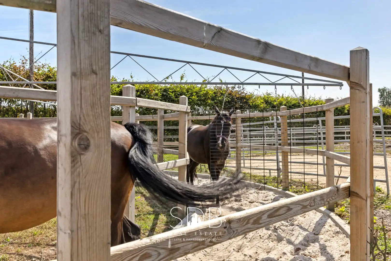 Prachtige landelijke woning met hippische accommodatie op 2,5hectare foto 34