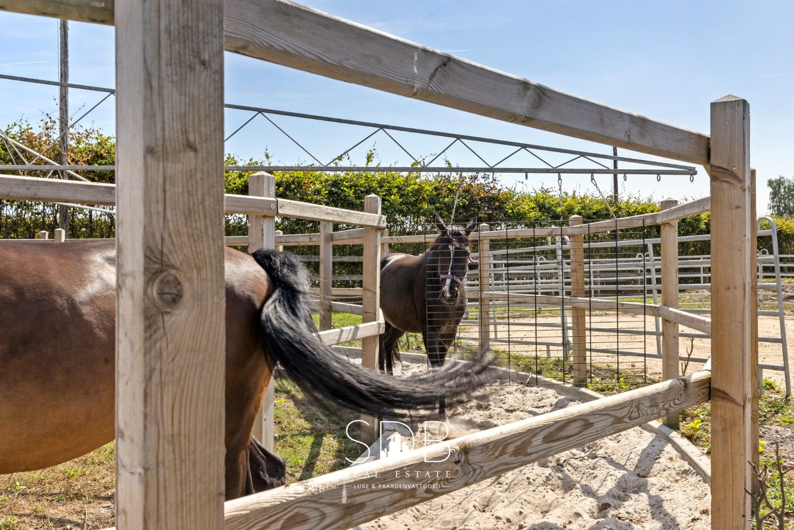 Prachtige landelijke woning met hippische accommodatie op 2,5hectare foto 34