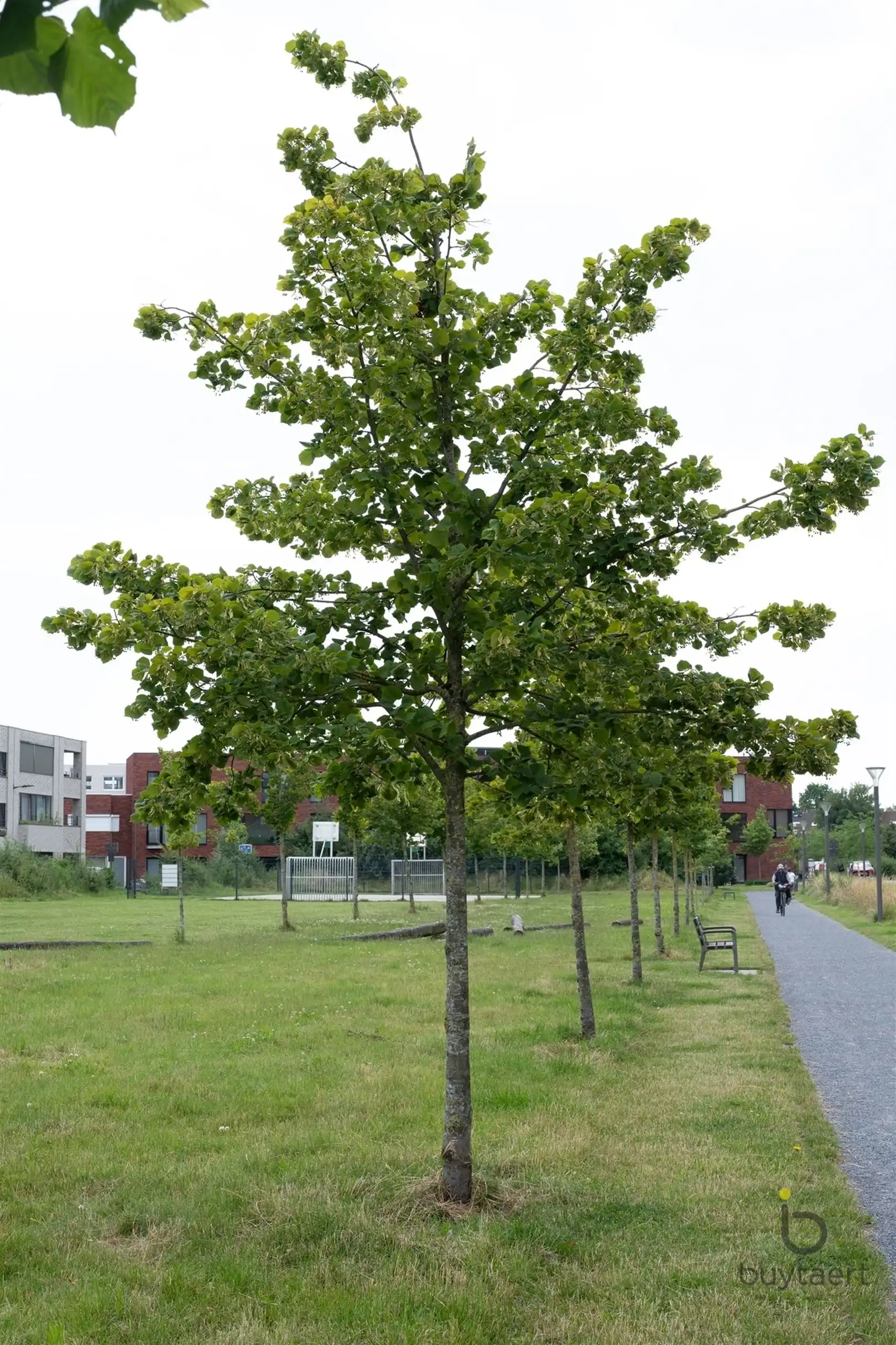 WONEN IN STIJL: een knap 2-slaapkamer appartement op de 3de verdieping met terras te Deurne-Zuid! foto 37