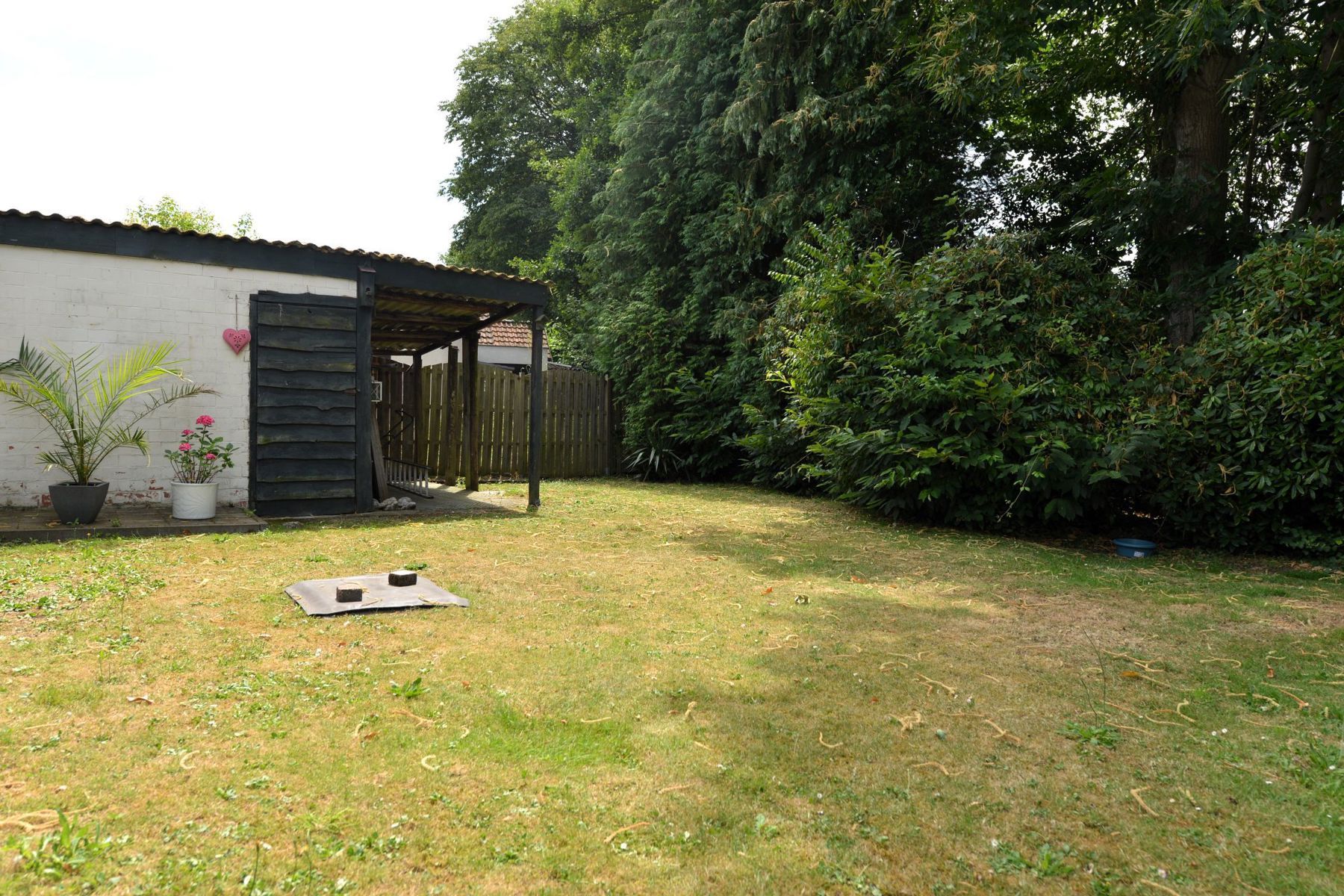 Huis te huur foto 11