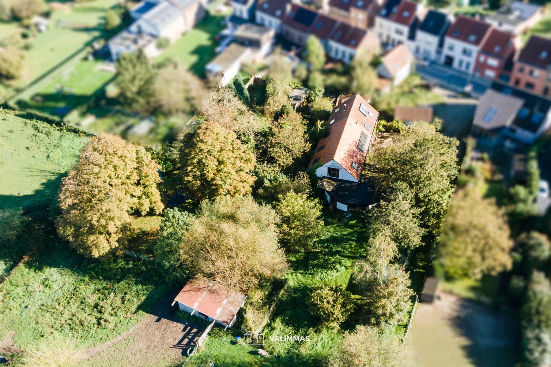 Een verder af te werken (deels ruwbouw) hoeve op ± 56 are... foto 3