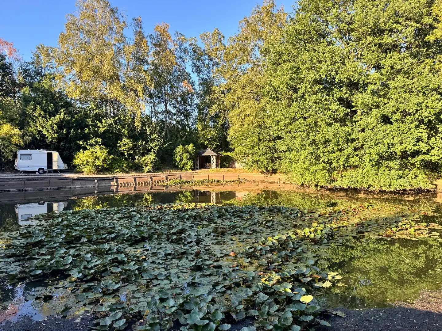 Vakantieverblijf met grote privé visvijver te Balen  foto 25