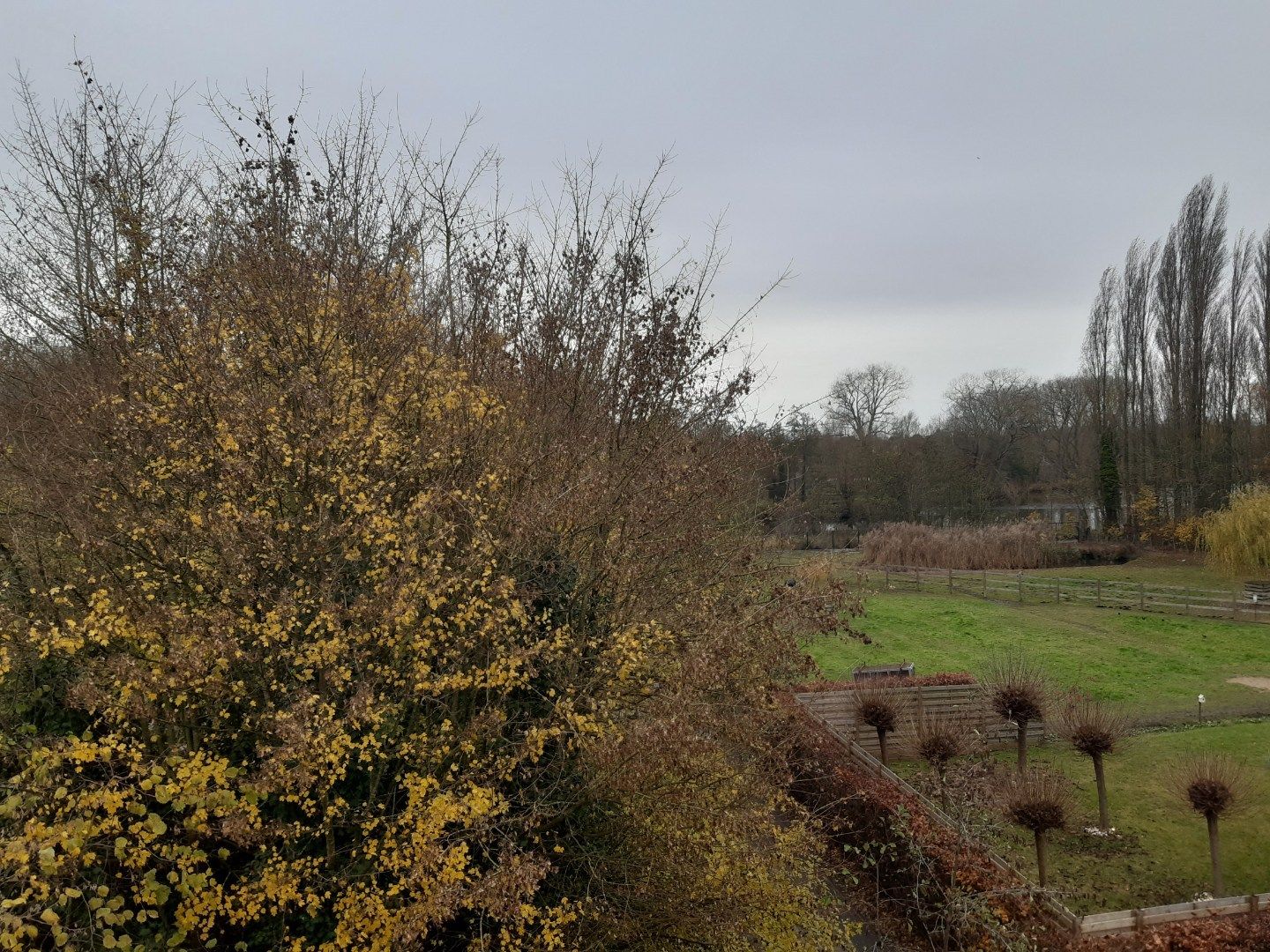 Gezellig 1 slpk-appartement met terras. foto 11