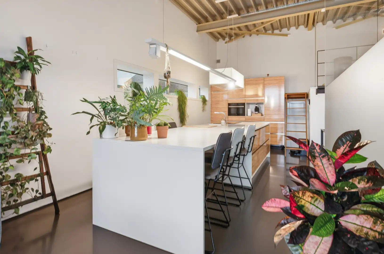 Moderne open bebouwing met prachtige tuin met zwemvijver gelegen in het rustige Eliksem (Landen) foto 16