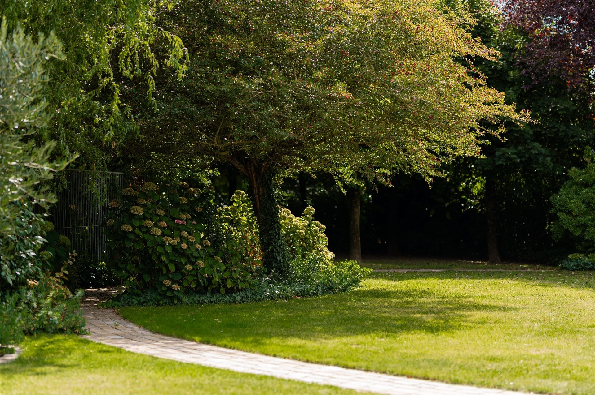 Exclusieve villa met tuin & zonneterras, omgeven door groen foto 15