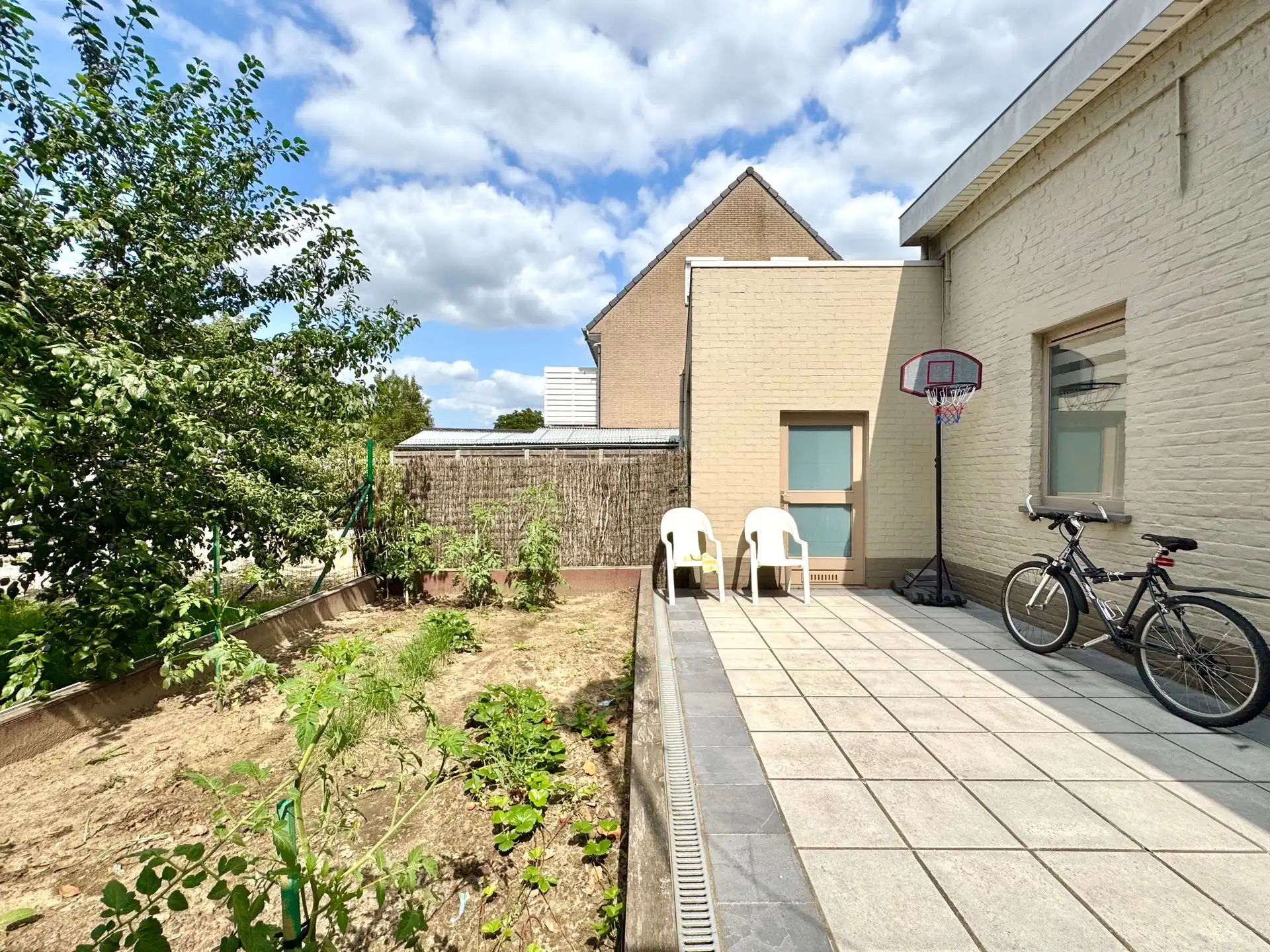 ENERGIEZUINIG GEBOUW MET 2 GROTE GARAGES - 553 M² foto {{pictureIndex}}