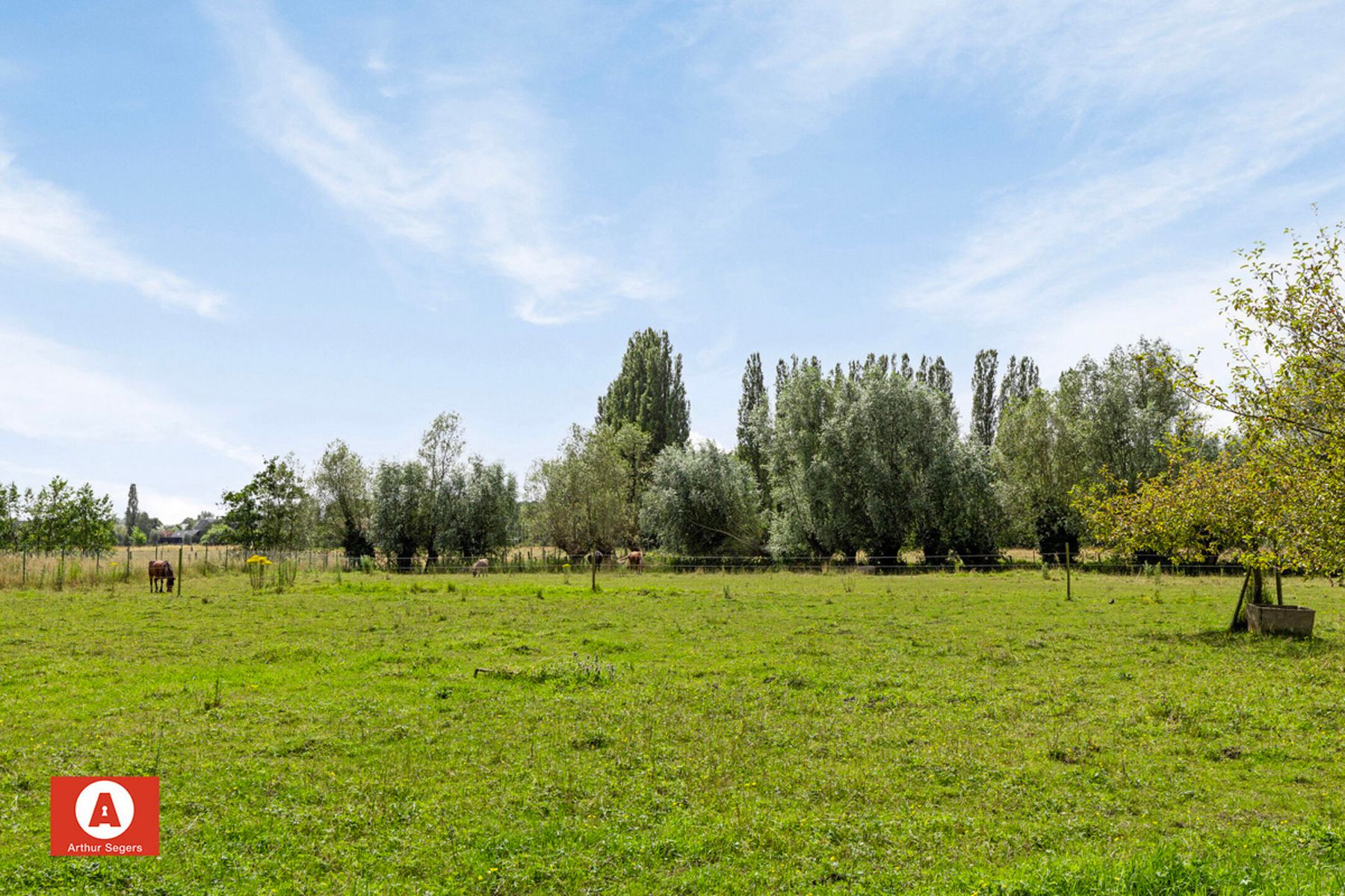 Instapklare woning met 3 slaapk. en ZW georiënteerde tuin foto 3