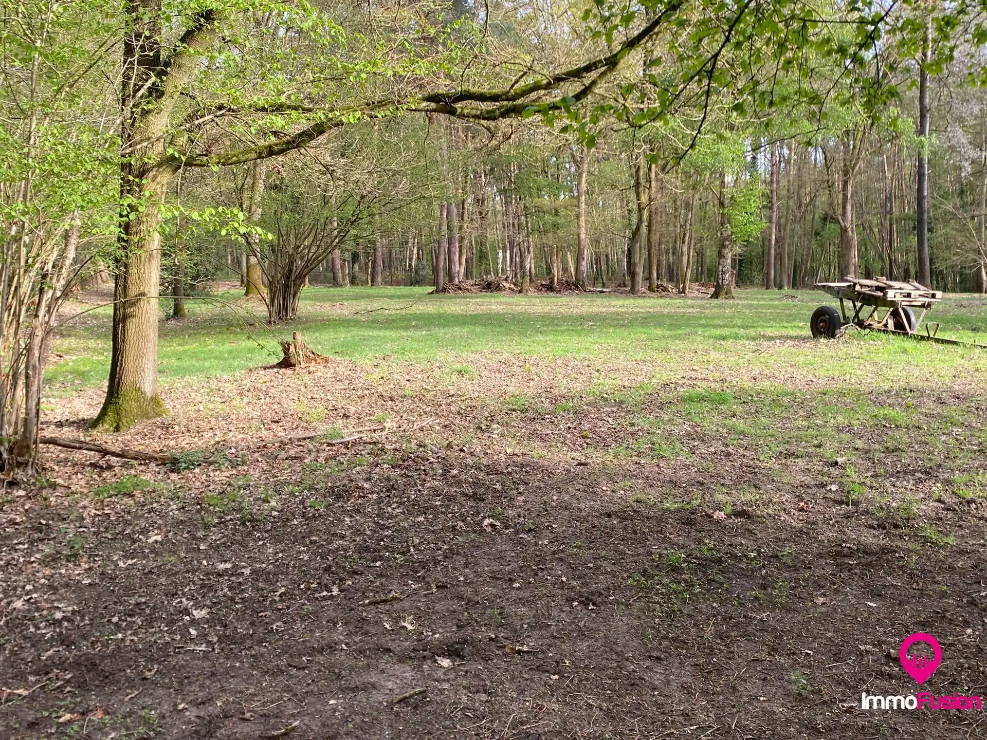 Ideale weide voor dierenliefhebbers in landelijke omgeving foto 6