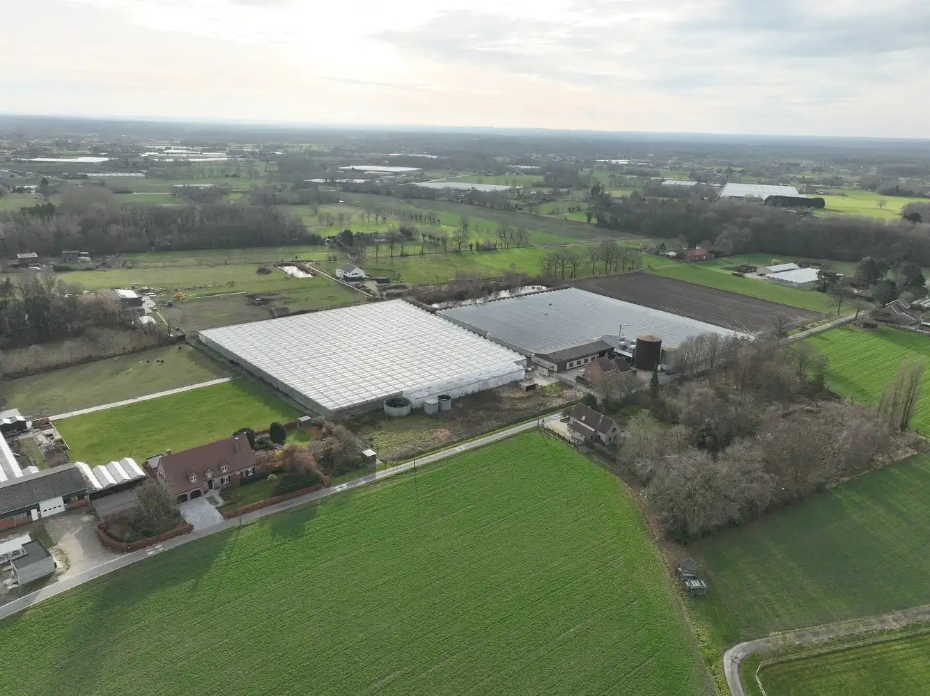 Hoofdfoto van de publicatie: Serrebedrijf