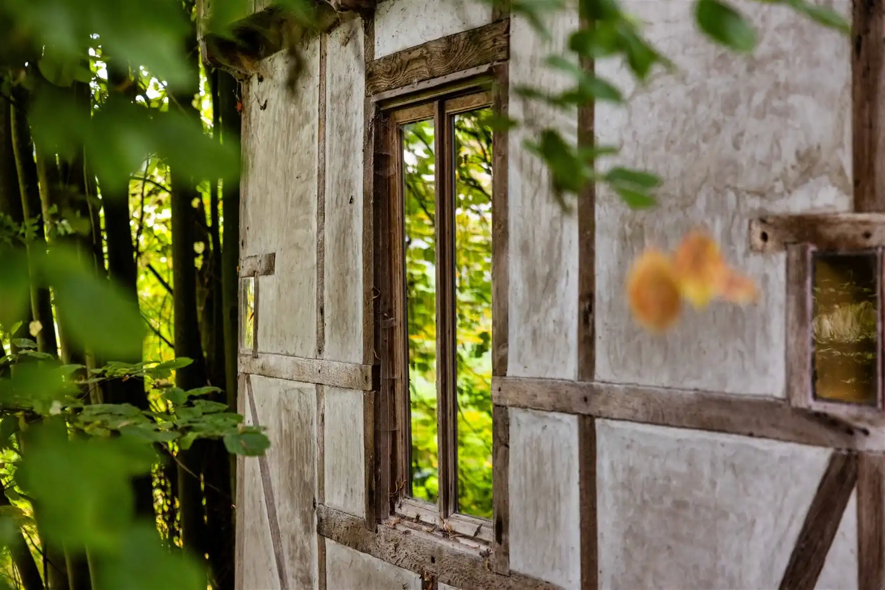 Uniek eigendom te koop: de Zwadderkotmolen. foto 8