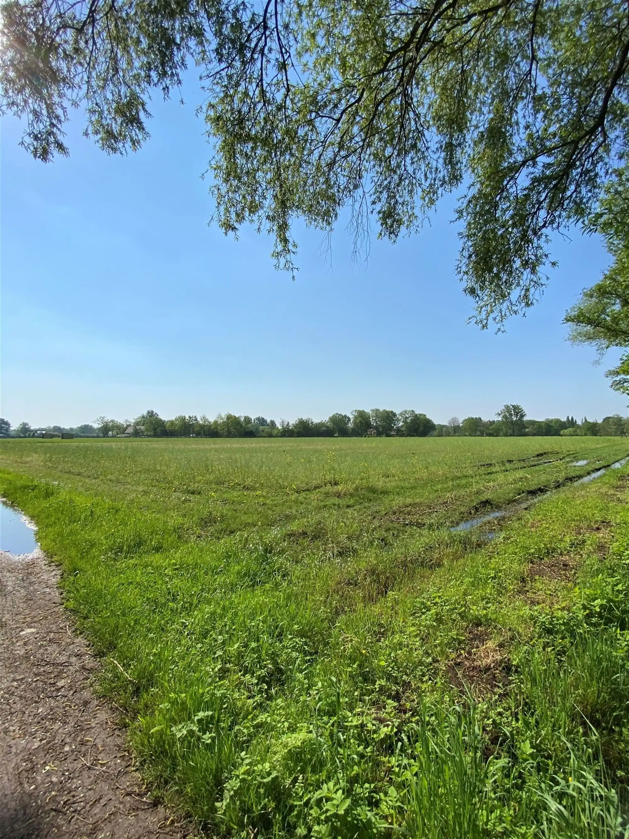 Landbouwgrond foto 3