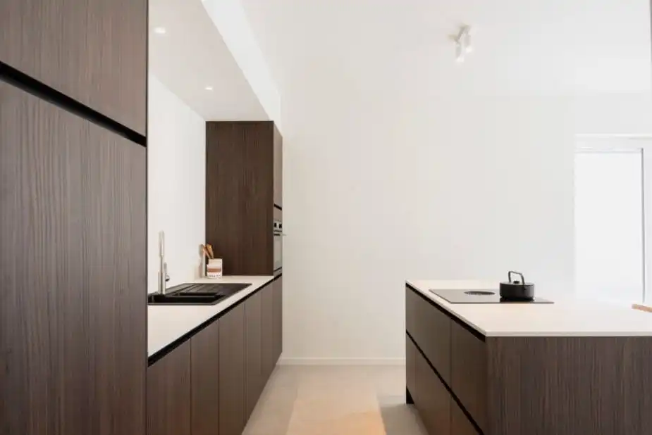 Albert & Jerome te koop in Desselgem foto 2