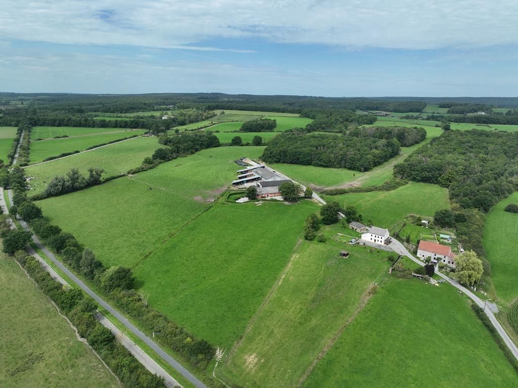 Landbouwbedrijf te Wallonië foto 4