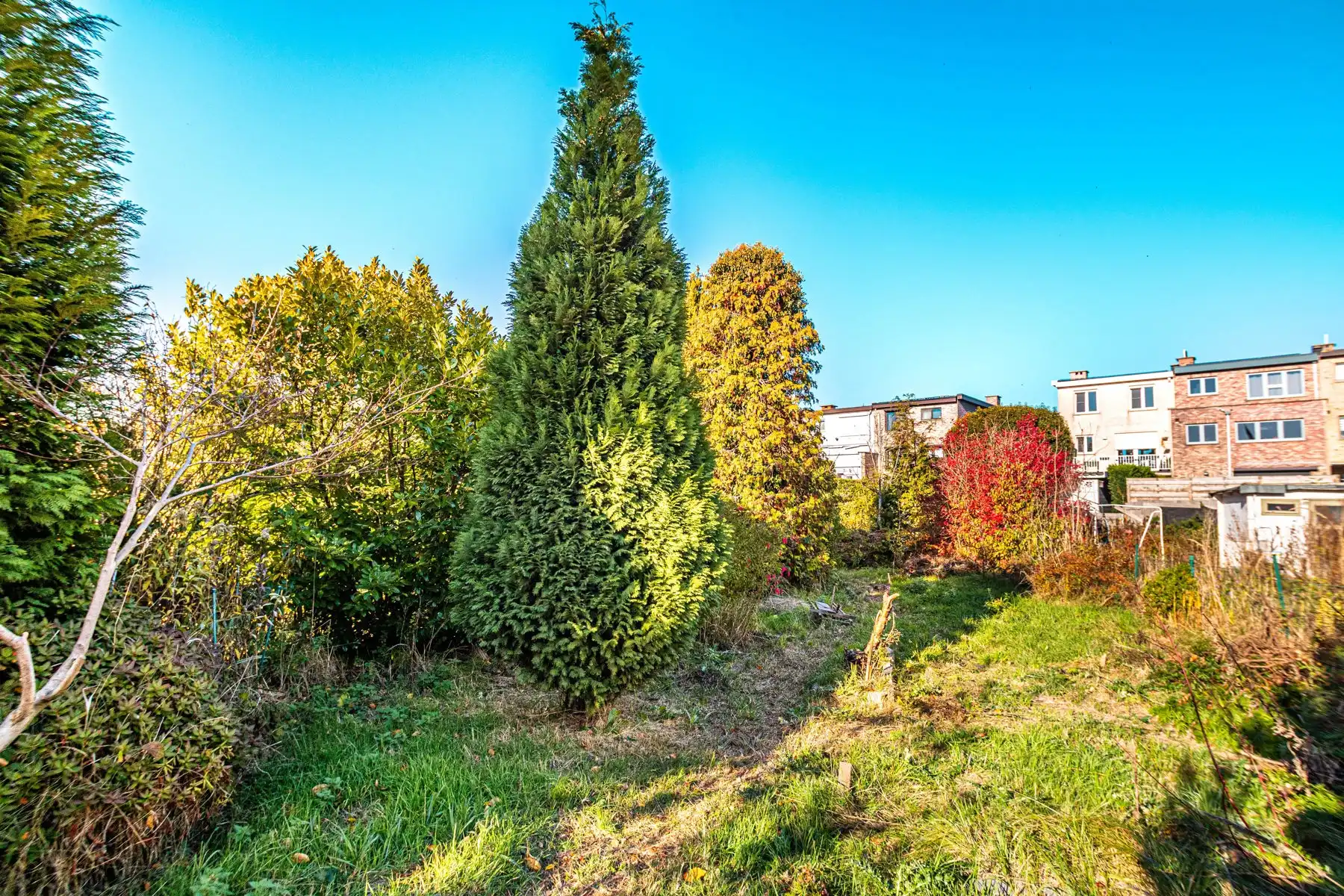 Renovatieproject op ruim perceel foto 2